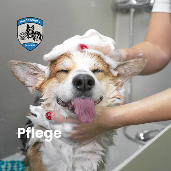 Pflege