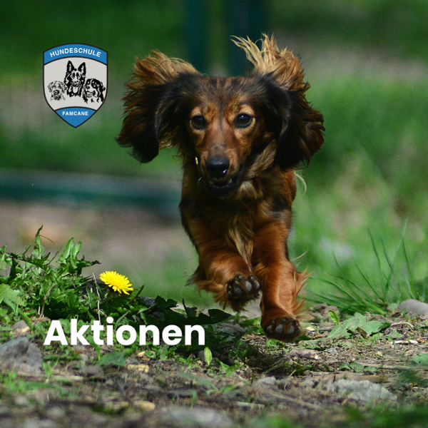 Aktionen