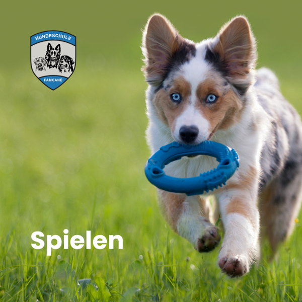 Spielen