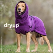 dryupbilberry2.jpg
